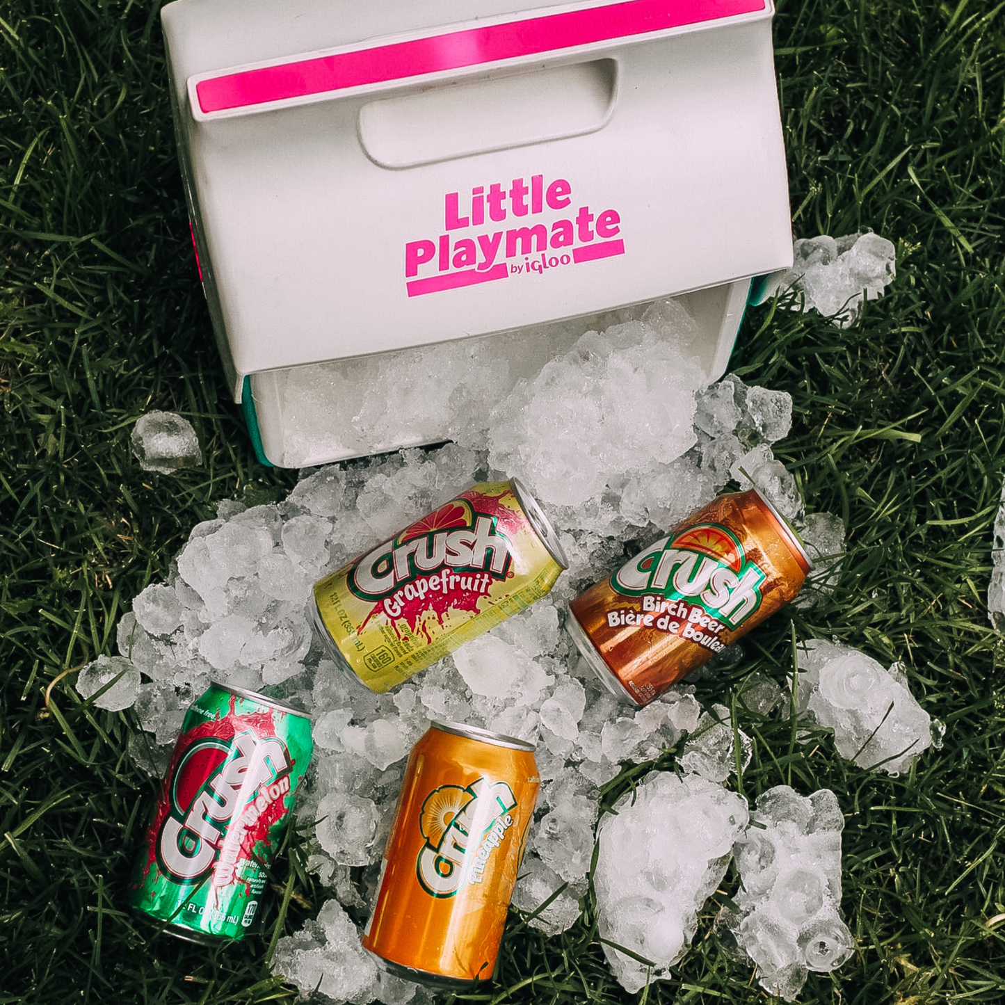 Mystery Mix Pop Pack