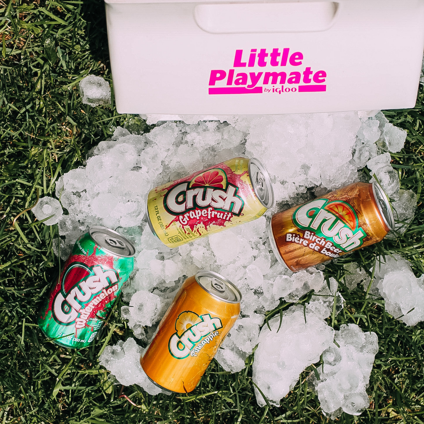 Mystery Mix Pop Pack