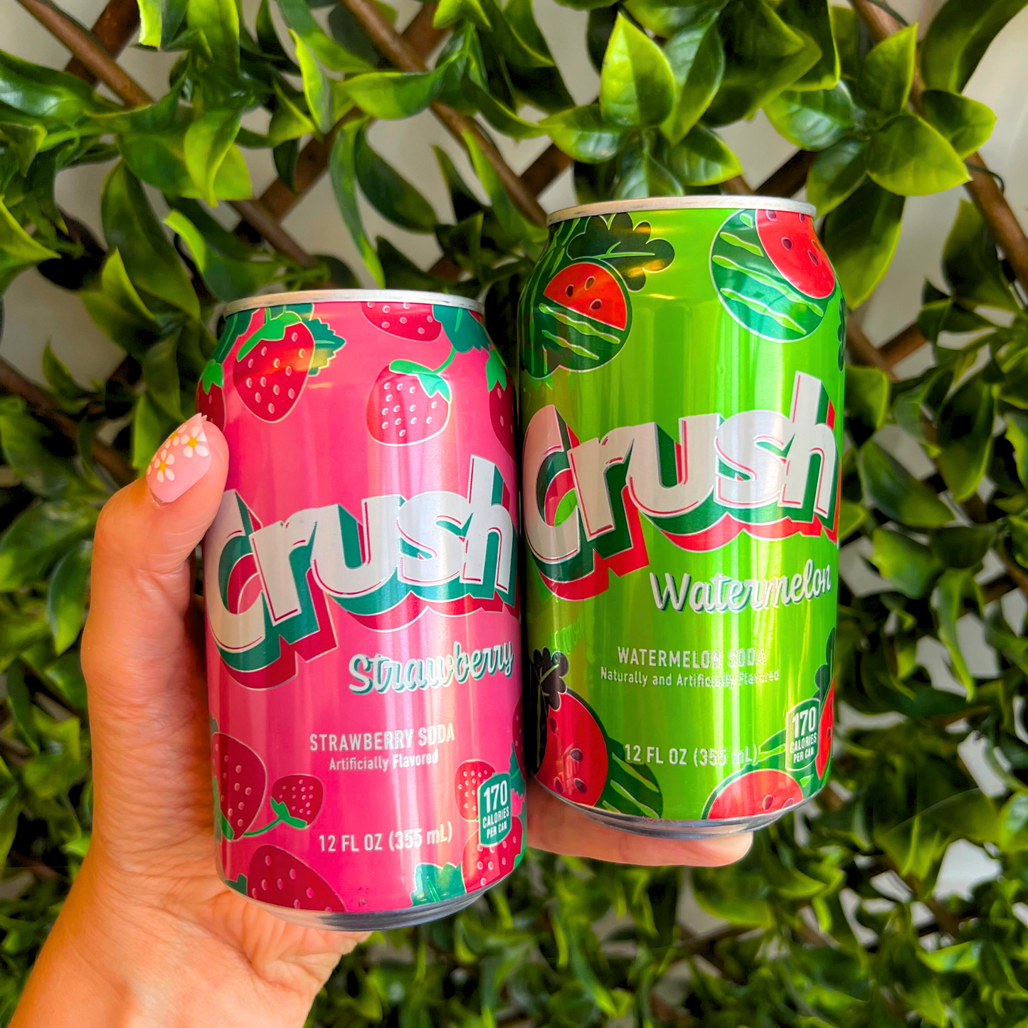 Mystery Mix Pop Pack