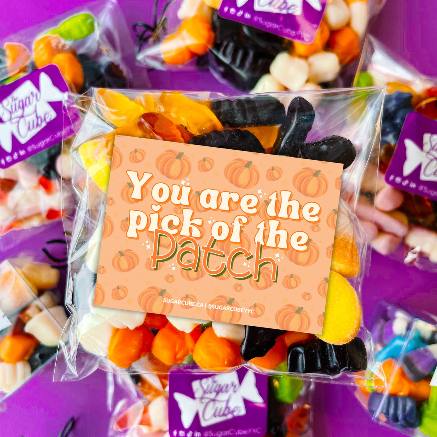 Spread the Scare Halloween card insert featuring “You Are the Pick of the Patch
